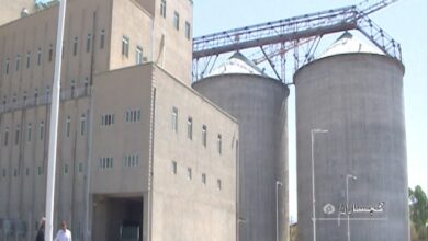 بازدید مدیر کل غله استان فارس